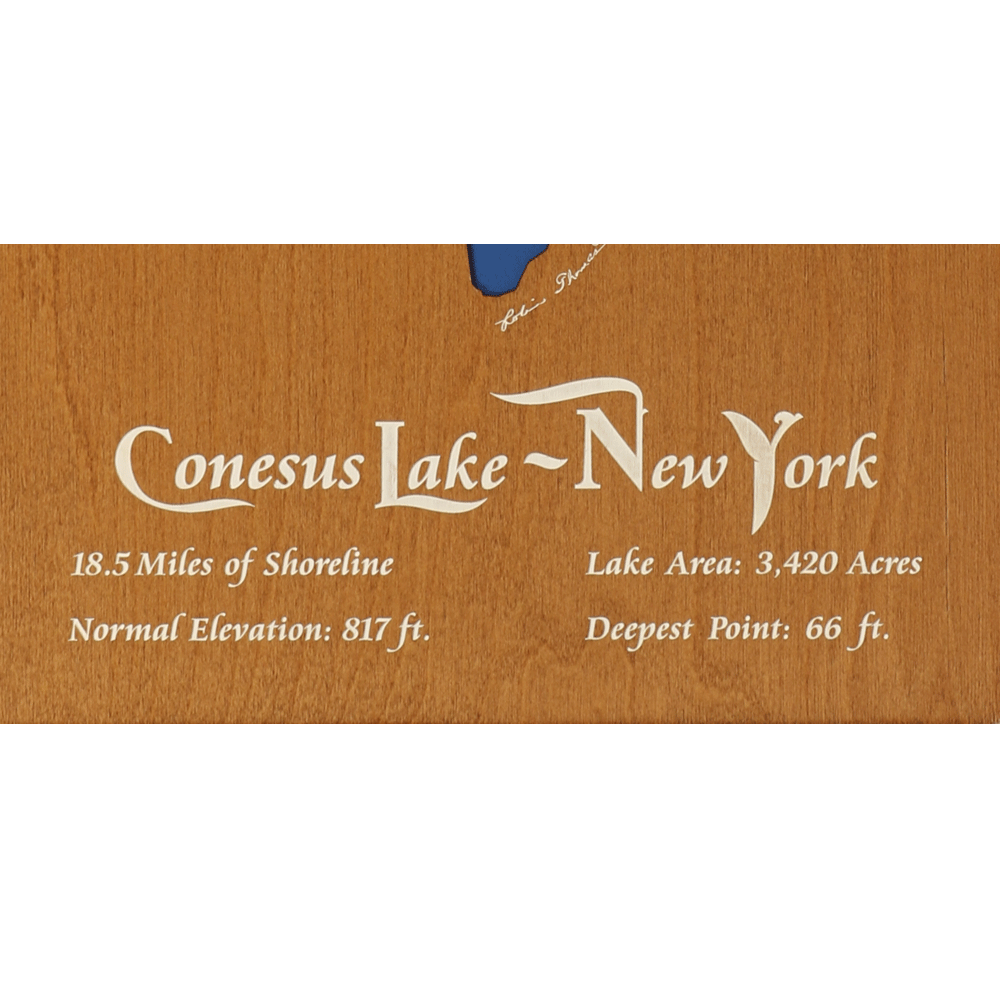 Conesus Lake, New York Stained Wood and Dark Walnut Frame Lake Map Sil