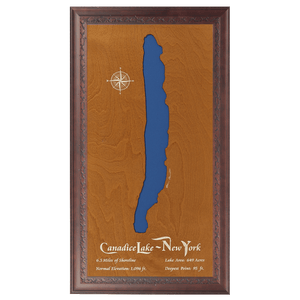 Canadice Lake, New York Stained Wood and Dark Walnut Frame Lake Map Silhouette