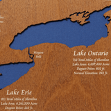The Great Lakes, New York, Pennsylvania, Ohio, Indiana, Michigan, Illinois, Wisconsin, and Minnesota Stained Wood and Dark Walnut Frame Lake Map Silhouette