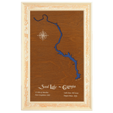 Seed Lake, Georgia Stained Wood and Distressed White Frame Lake Map Silhouette