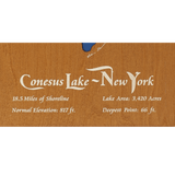 Conesus Lake, New York Stained Wood and Dark Walnut Frame Lake Map Silhouette