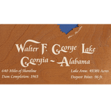 Walter F George Lake, Georgia and Alabama Stained Wood and Distressed White Frame Lake Map Silhouette