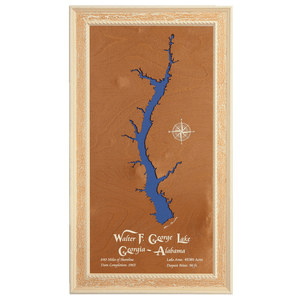 Walter F George Lake, Georgia and Alabama Stained Wood and Distressed White Frame Lake Map Silhouette