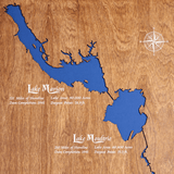 Santee Cooper Lakes to Charleston Harbor, South Carolina Stained Wood and Distressed White Frame Map Silhouette