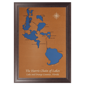 The Harris Chain of Lakes, Florida Stained Wood and Dark Walnut Frame Lake Map Silhouette