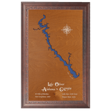 Lake Oliver, Alabama and Georgia