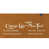 Cayuga Lake, New York Stained Wood and Distressed White Frame Lake Map Silhouette