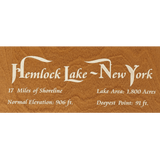 Hemlock Lake, New York Stained Wood and Distressed White Frame Lake Map Silhouette