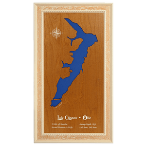 Lake Choctaw, Ohio Stained Wood and Distressed White Frame Lake Map Silhouette