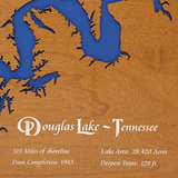 Douglas Lake, Tennessee Stained Wood and Distressed White Frame Lake Map Silhouette