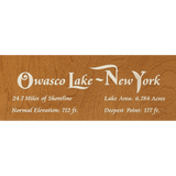 Owasco Lake, New York Stained Wood and Dark Walnut Frame Lake Map Silhouette